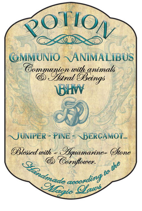 bouteille-haute-turquoise