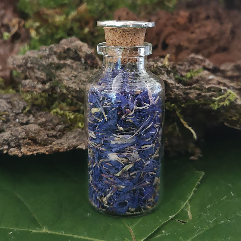 Herbes-de-Sorcières-GM-Bleuet2