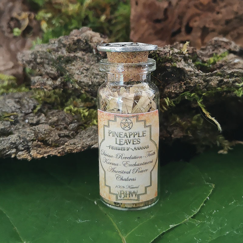 Herbes-de-sorcieres-PM-Ananas