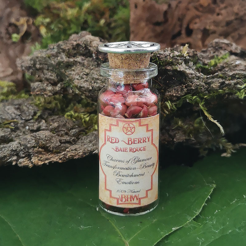 Herbes-de-sorcieres-PM-Baies-rouges