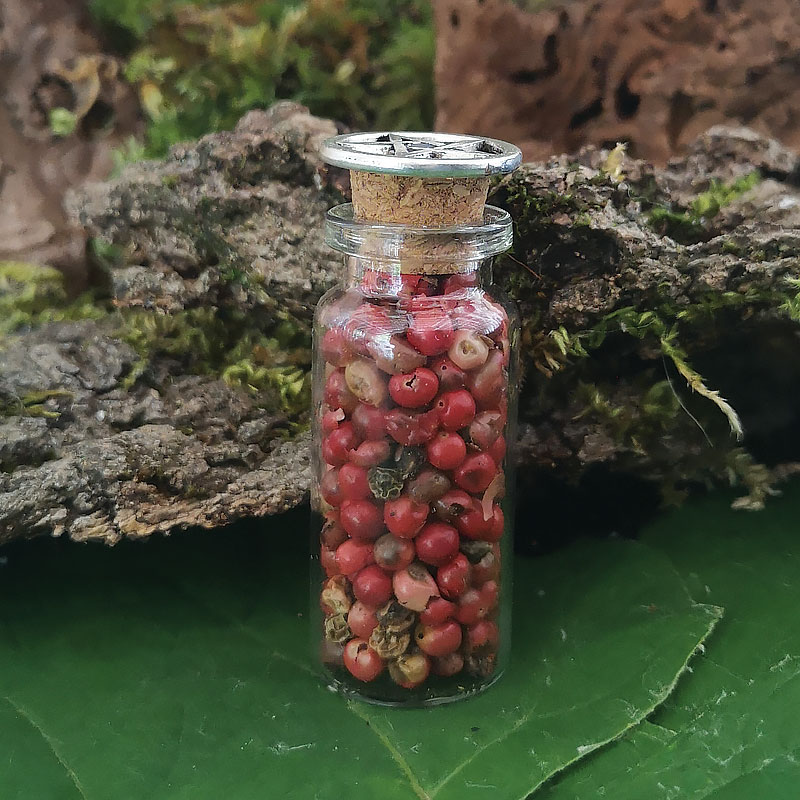 Herbes-de-sorcieres-PM-Baies-rouges2