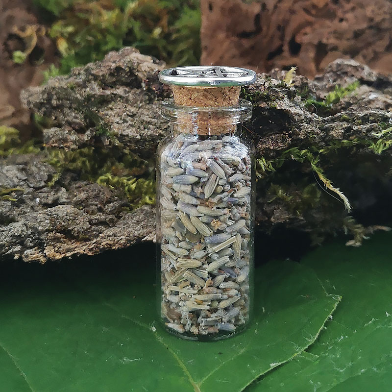 Herbes-de-sorcieres-PM-Lavande2