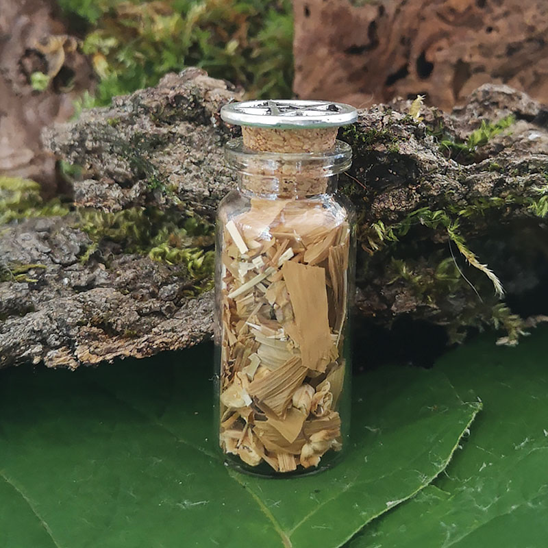 Herbes-de-sorcieres-PM-Muguet2