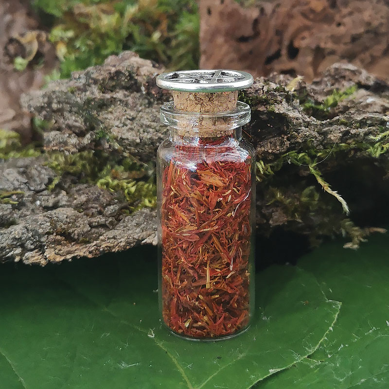 Herbes-de-sorcieres-PM-Saphran2